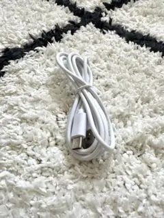 USB-C ホワイト充電ケーブル 標準長さ