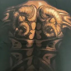 Item thumbnail for item 70876ef8-d67b-431e-9c91-71e79562f697