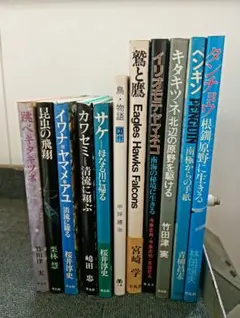 未読美品】モダンサッカー戦術・関連書籍 10冊まとめ売りセット - メルカリ