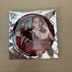 2025年最新】堀口恭司の人気アイテム - メルカリ