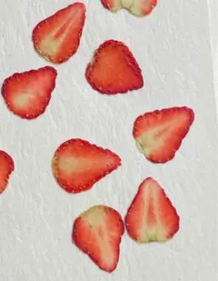 Item thumbnail for item 41dce6e1-c3f4-4a56-b8a2-e0c70d1245a9