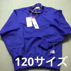 Item thumbnail for item 5571bc70-45f8-4250-b2f0-7862c25d58fb