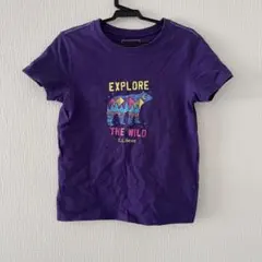 LLbean Tシャツ　サイズ114 - 122 L6x-7のサムネイル