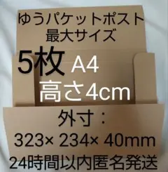 ゆうパケットポスト専用ダンボール箱 4cm A4 5枚 厚さ最大 箱 梱包資材