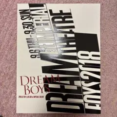 DREAM BOYS 2018 パンフレット