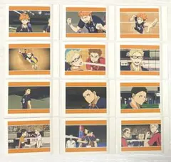 ハイキュー ゴ決 ぱしゃこれ 烏野 日向 月島 澤村 東峰 西谷 田中