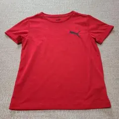 Item thumbnail for item 90a9c635-cf39-450f-b50f-9c24a3fdbb56