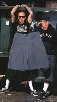 Dickies ショーツ　baggy 極太　w44 relaxed fitのサムネイル