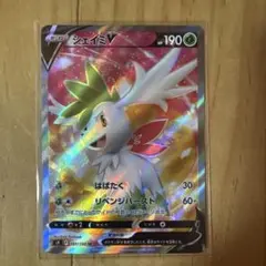 2026年最新】シェイミex urの人気アイテム - メルカリ