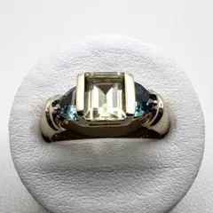 Item thumbnail for item 6f8bf2e6-eed2-4342-8972-f3d98482ecf6