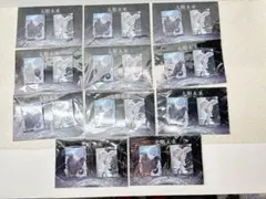 40点 ヒプマイ ヒプマイELR CD特典 缶バッジ 碧棺合歓 - メルカリ