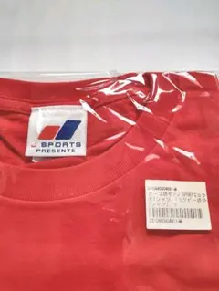 Item thumbnail for item cad5e578-b7b1-4deb-b07b-7e6f3b178a72