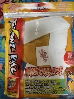 イナズマイレブン CD ジャケット チェンジングジャケット カード 南沢