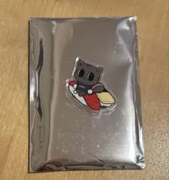 TXT プルバトゥ ご当地 ピンバッジ 東京 ダゴニャン