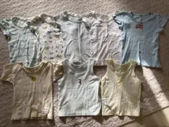 Item thumbnail for item 8ab201f5-2378-4ebf-9d17-82083a9ce575