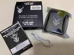 水冷服アイスマン用タイマーバッテリーTYPE-C /5200mAh/充電ケーブル