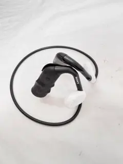 Item thumbnail for item a70cb9a0-0cf1-4e01-9653-0a8335ebb637