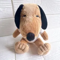 ハワイ限定 PEANUTS 日焼け スヌーピー ぬいぐるみ moni モニ ハワイ限定 日焼けスヌーピー ぬいぐるみ かわいい プレゼント ギフト