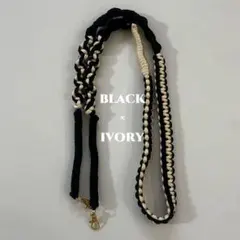 Item thumbnail for item 4cc5ab32-a83b-4526-bb66-20ccdb4bbf0b