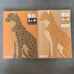 【四谷大塚　予習シリーズ　難関校対策　6年下　理科】