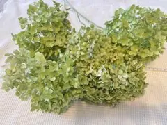 Item thumbnail for item 0d2418d3-19cb-41cb-8bfd-c77636788921