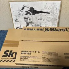 2026年最新】大暮維人 skyの人気アイテム - メルカリ