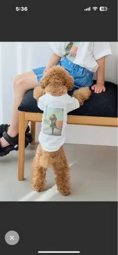 Item thumbnail for item 3c4ee64b-bb7f-4c2b-b18e-47f6ff303600