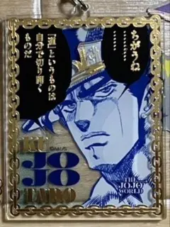 ジョジョワールド THE JOJO WORLD ワイヤーキーホルダー 空条承太郎