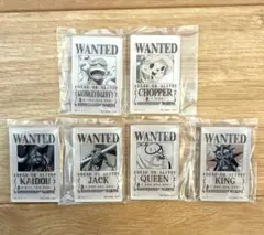 一番くじ ワンピースEX 悪魔を宿す者達vol.3 G賞 アクリルブロック 6種