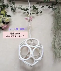 専用♡　バードトイ　バードアスレチック　ジム　球体約23cm