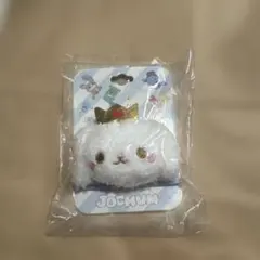 2026年最新】jochum ruruの人気アイテム - メルカリ