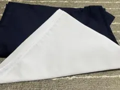 Item thumbnail for item 41e9d60d-b484-406a-88de-986b0beaad07