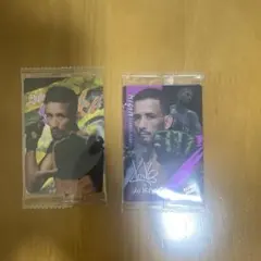 Item thumbnail for item f314ce50-8092-4a79-b948-419a35e4f264