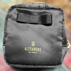 【新品・未使用】ALEXANDRE DE PARIS ポーチ