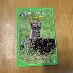 多摩川にすてられたミーコ