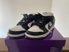 NIKE SB DUNK LOW PRO コートパープル