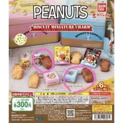 PEANUTS スヌーピービスケットミニチュアチャームガチャガチャ丸缶エンボス缶