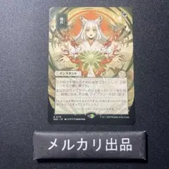 MTG 日本画 輪作 ミスティカルアーカイブ SOA ① - メルカリ