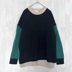 hagumu ハグム カラーブロック配色切り替え長袖ニット ウール混 Fサイズのサムネイル