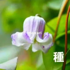 imim様 リクエスト 2点 まとめ商品