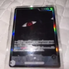 イム様 リーダーパラレル　イム　リーパラ