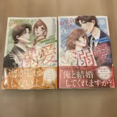 Item thumbnail for item d639b8e0-b790-4032-8caa-825bac40deff