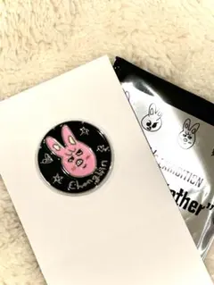 straykids エキシビジョンピンバッチ　トェッキ　チャンビン