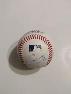 2025年最新】大谷翔平 サイン ボールの人気アイテム - メルカリ