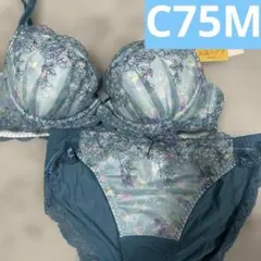 チュチュアンナ 下着