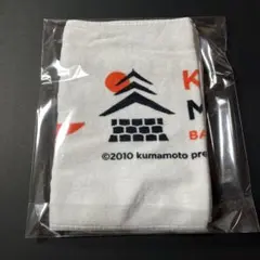 Item thumbnail for item 8fa8fd73-4900-43bb-97f5-25f6b0ceb3b6