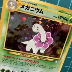 旧裏　ポケモンカード　メガニウムのサムネイル