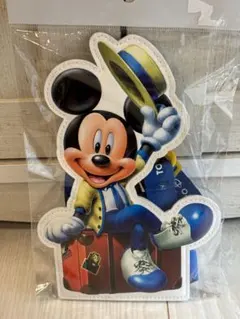 ディズニーランド バケーションパッケージチケットホルダー