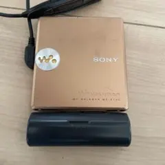 Item thumbnail for item 244fbaa8-2ae2-4582-9a02-dd734a4b6507