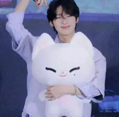 2025年最新】ENHYPEN ソヌ ぬいぐるみの人気アイテム - メルカリ